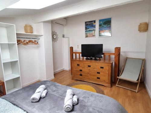a living room with two beds and a television at T2 calme proche plage Bonporteau avec Clim et parking in Cavalaire-sur-Mer