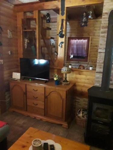 a living room with a flat screen tv and a wooden wall at Kuća za odmor "Med Strmci" in Zlobin