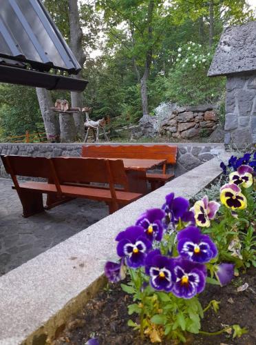 a bench and some purple flowers and a dog at Kuća za odmor "Med Strmci" in Zlobin