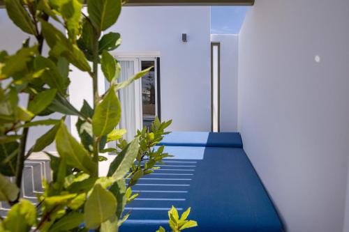Φωτογραφία από το άλμπουμ του White Holidays Project στην Τήνο Χώρα