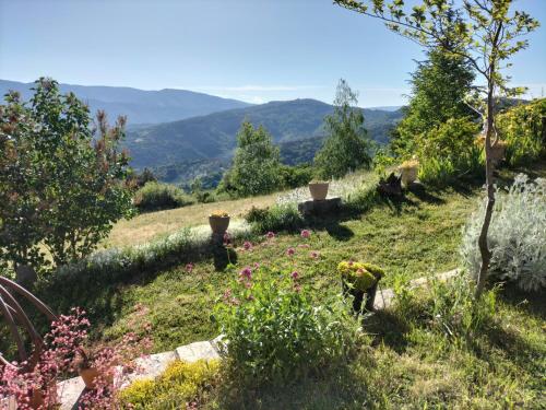 a garden with flowers on a hill with mountains in the background at Le devezou Malons et Elze in Malons-et-Elze