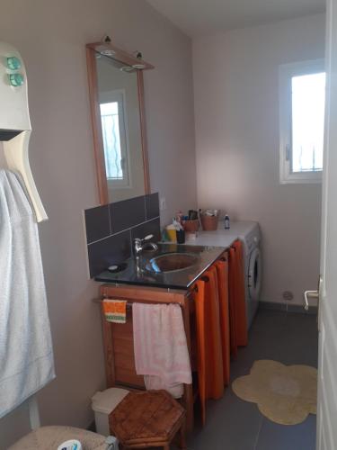 une salle de bain avec un lavabo et une machine à laver dans l'établissement Le devezou Malons et Elze, à Malons-et-Elze