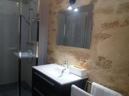 a bathroom with a sink and a mirror and a shower at LE LOFT DE LA SALAMANDRE SARLAT in Sarlat-la-Canéda