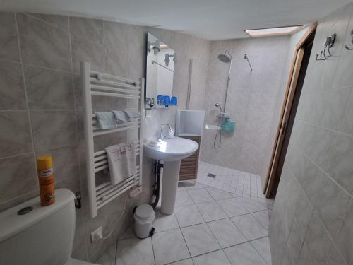 a bathroom with a sink and a shower and a toilet at La Maison des Grands Bambous - L'Angoumois L'Aunis La Saintonge La Boutonne in Louzignac