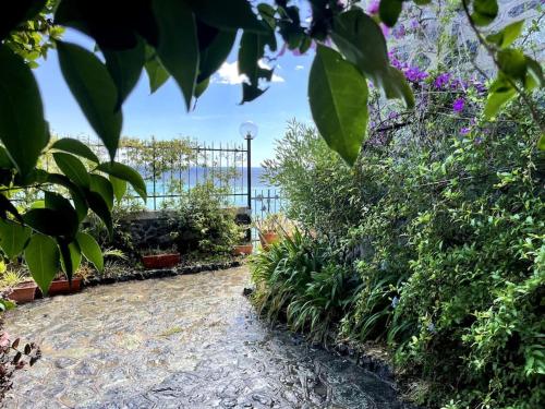 Fotografie z fotogalerie ubytování Ocean View Villa with Fast WI-FI and Elevator to Town v Levantu