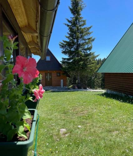 a potted plant on the side of a house at Bungalows Krstajić in Žabljak