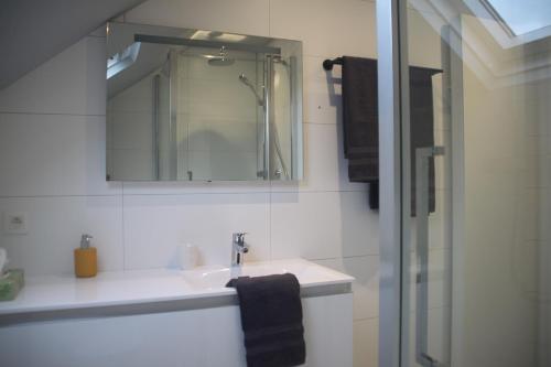 a bathroom with a sink and a mirror at Huize Clementina in Peer