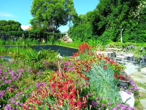 a garden with colorful flowers in a park at Villa Fiorita in Monfalcone