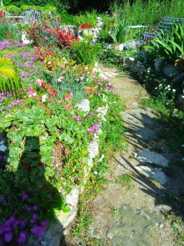 a garden filled with colorful flowers and plants at Villa Fiorita in Monfalcone