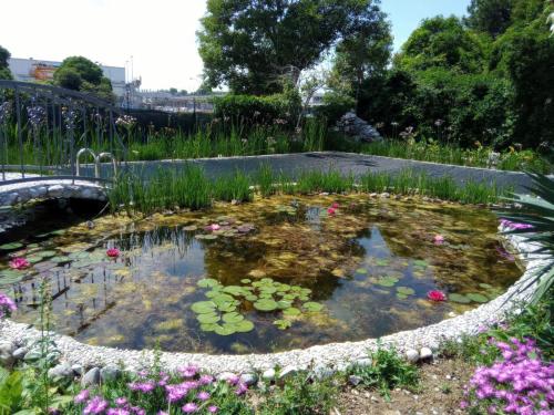 a pond with water lilies in a garden at Villa Fiorita in Monfalcone