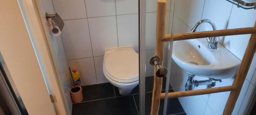 Baño pequeño con aseo y lavamanos en Bed & Breakfast in ons Bakhuis, en Apeldoorn