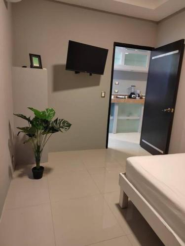 a room with a bed and a tv and a potted plant at Apartamento 2 recamaras en el corazón de Cozumel in Cozumel