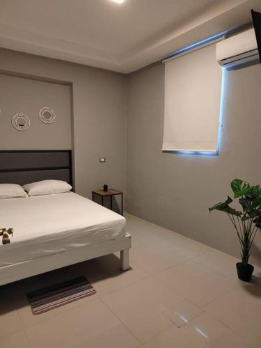 a bedroom with a bed and a window and a plant at Apartamento 2 recamaras en el corazón de Cozumel in Cozumel