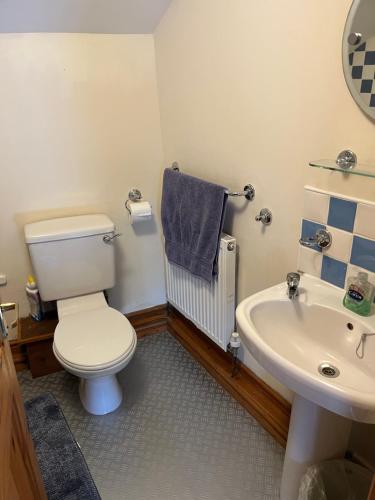 a bathroom with a toilet and a sink at Tan y Marian in Cwm-y-glo