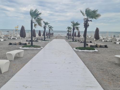 a pathway with benches and palm trees on the beach at Apartament FIORE BLU ( vedere la mare si lac) in Năvodari