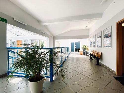 a hallway with a potted plant in a building at Yacht Club Residence Sopot in Sopot