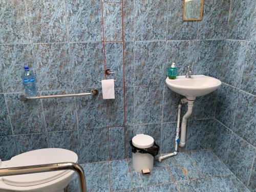 a bathroom with a toilet and a sink at Brigitte's Ranch in Cahuita