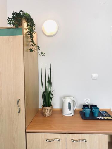 a kitchen with a counter with a plant on it at Yacht Club Residence Sopot in Sopot