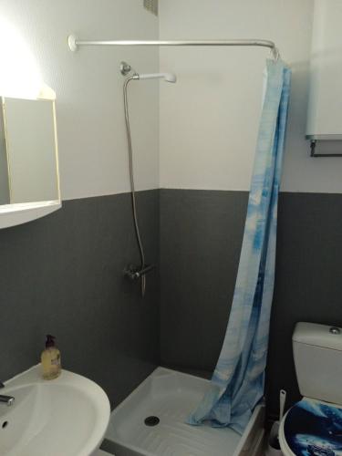 y baño con ducha, lavabo y aseo. en Studio - Marina 4 - 13 allée des Pinons - 4-1 en Saint-Jean-de-Monts