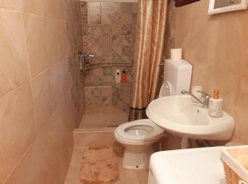a bathroom with a toilet and a sink at Apartman Sarajevo in Sarajevo