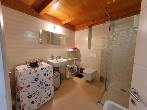 een badkamer met een wastafel, een toilet en een douche bij SARA A4, Apartment in the city centre few meters from the beach in Novigrad Istria