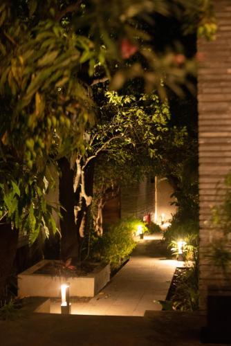 a lit walkway with a tree and a candle at Nardazul "Casa de Sueños" in Oaxaca City
