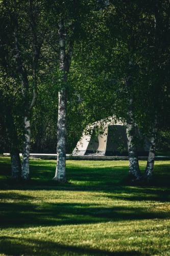 a group of trees in a field with a skate park at Morgedal Camping in Morgedal
