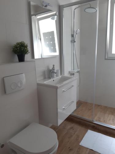 Kúpeľňa v ubytovaní Blaslov Family Apartment