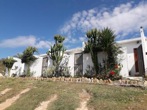 una casa blanca con árboles y plantas delante de ella en A Taberna - chalés, en Alto Paraíso de Goiás