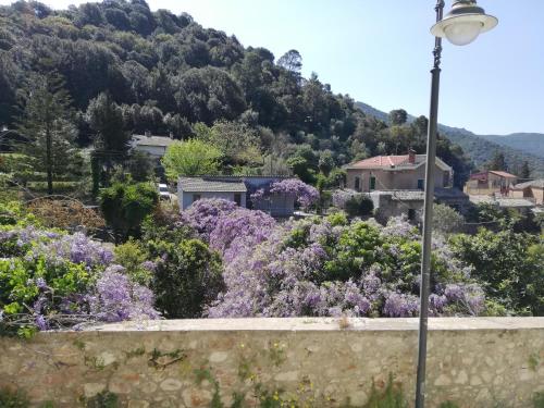 a street light and purple flowers in front of a mountain at B&B San Gregorio SINNAI in San Gregorio