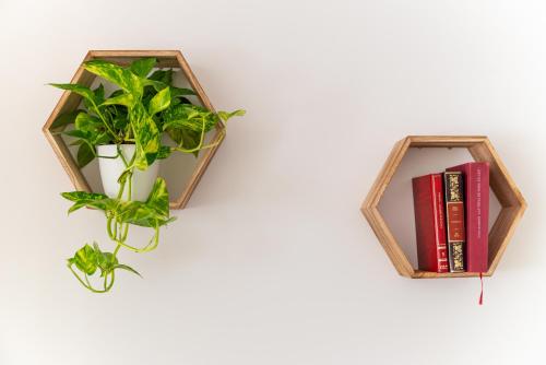 Billede fra billedgalleriet på Apartamentos Manuel Roio i Vejer de la Frontera