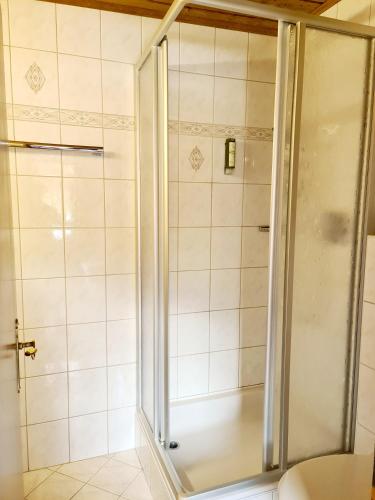 a shower with a glass door in a bathroom at Hotel Alpenhof*** in Kaltenbach