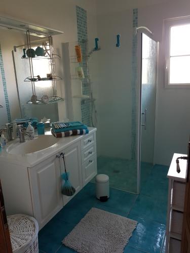 La salle de bains est pourvue d'un lavabo et d'une douche en verre. dans l'établissement La Montignonne, à Montigny-sur-Loing