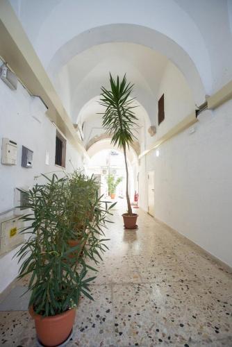 a room with a palm tree and plants in it at Fardella 250 in Trapani