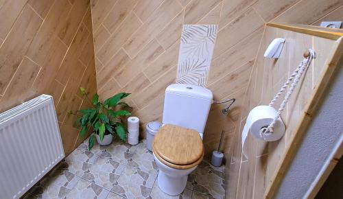 a bathroom with a toilet with a wooden seat at Apartmán u Ještěrky se saunou v ceně, Rejvízská 29, Jeseník in Jeseník