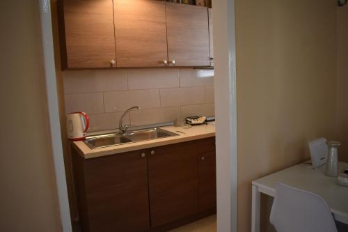 Kuchyň nebo kuchyňský kout v ubytování Helenas Apartment