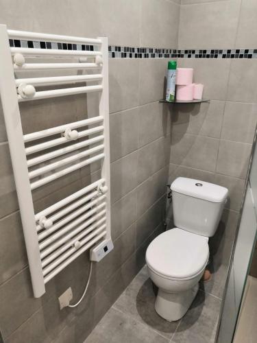 La petite salle de bains est pourvue de toilettes et de serviettes. dans l'établissement Porticcio très joli T2 climatisé & grande terrasse à 1km de la plage, à Porticcio