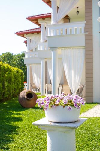 a white porch with purple flowers in a pot at Apartments Alexandros in Polykhrono