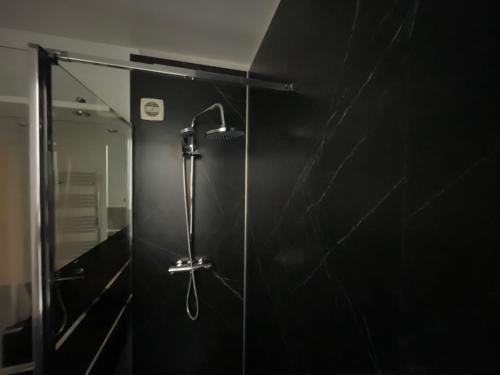 a shower with a shower head in a bathroom at Appartement Au Quai 1921 in Besançon