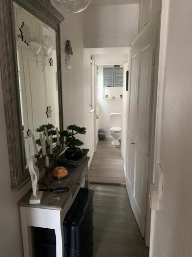 a hallway of a bathroom with a sink and a mirror at Appartement Au Quai 1921 in Besançon