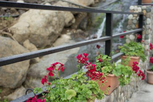 a bunch of red flowers on a black fence at nira hotel in Gonio