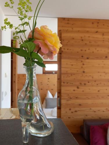 chalet naturel – Photos 2