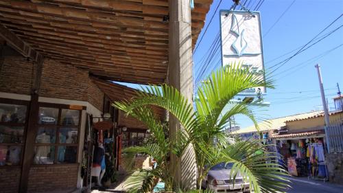 a palm tree in front of a building at Capitão N Areia Pousada in Arraial do Cabo