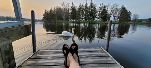 a person with their feet up on a dock near a swan at Large 1 BR Cottage, KING BED on the Lake in Paw Paw