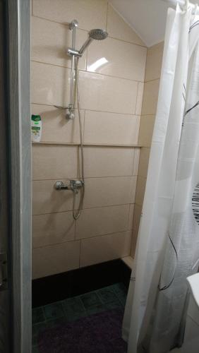 古拉哈莫盧洛伊的住宿－Casa Irimescu，带淋浴和浴帘的浴室