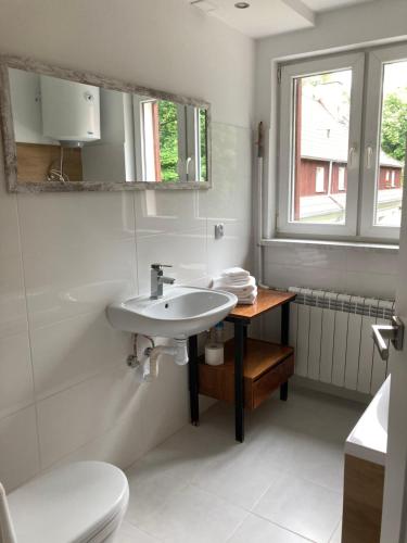 a bathroom with a sink and a toilet and a window at Apartament Karolewo in Karolewo