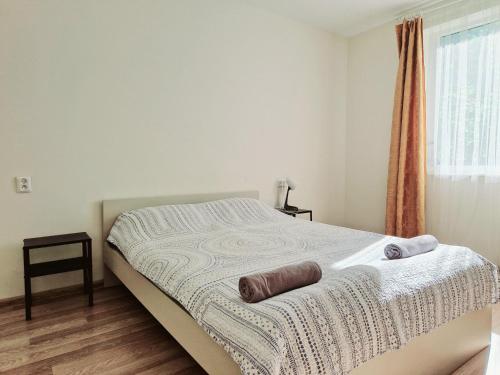 - une chambre avec un lit, une couverture et une fenêtre dans l'établissement M&M Apartment X SELF CHECK-IN, à Panevėžys