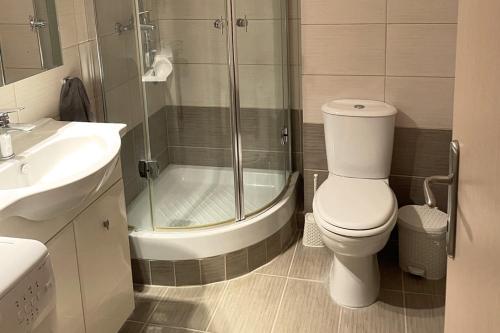 a bathroom with a shower and a toilet and a sink at Panoramico View in Karianí