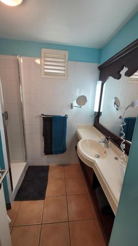 uma casa de banho com um lavatório e um chuveiro em DESIRADE 18 sainte luce em Sainte-Luce