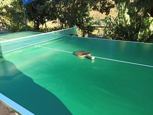 a tennis racket sitting on a green tennis court at Green Garden in Ijevan